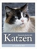 Katzen – literarisch durchs Jahr 2022: Wochenkalender mit Fotografien und Zitaten