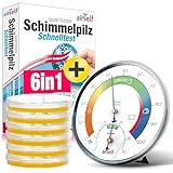 Schimmeltest + Thermohygrometer: Zum Check der Schimmelbelastung für bis zu 6 Räume. Inkl. analogem Thermo-Hygrometer