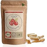 SPINTZ® 420 Stk. Bio Hagebutten Kapseln - vegane Hagebutten Kapseln hochdosiert - 500mg Hagebuttenpulver Bio aus biologischem Anbau - Hagebutte Pulver | plastikfrei verpackt