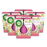 Air Wick Wohlfühl-Duftkerze im Glas – Duft: Blumenwiese – Enthält natürliche ätherische Öle – 6 x 105 g Duftkerzenset