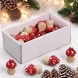 Set 24 Stück Mini-Pilze Fliegenpilze aus Holz, Weihnachtsdeko Herbstdeko Tischdeko DIY Basteln Feengarten Blumentöpfe Bonsai Dekoration Glücksbringer, 25mm Rot-Weiß