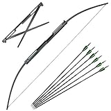 SHARROW Bogenschießen Straight Bogen Takedown Recurve Bogen und Pfeil Set 35lbs 55lbs Tragbar Gerade Bogen Langbogen mit 6er Carbonpfeile für Jugend Erwachsene Anfänger (55lbs, Typ 2)