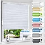 HOMEDEMO Plissee ohne Bohren verdunkelung, Thermo...