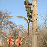 Pole Climbing Spikes - Elektriker Fußschnallen für Baumklettern, Holzstangen-Kletterschuhe für Obstpflücken und Kokosnussnte