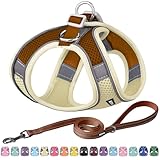 AIITLE No Pull Hundegeschirr, Step in einstellbares Hundegeschirr mit gepolsterter Weste, Hundeleine mit weichem gepolstertem Griff, leicht anzulegen für kleine und mittlere Hunde Beige S