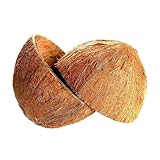 Sri Care Natürliche Kokosnussschale, halbiert, Kokosnussschale für Handwerk oder Haustier-Futterspender und Kerzenmacher und Weihnachts- und Halloween-Dekorationen (2, mit Fasern)