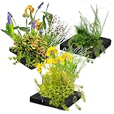 vdvelde.com - Drijvend Planteneiland Trio - 25 cm - • Filterplanten• 12 water zuiverende planten• Plaatsing: los op het water