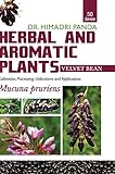HERBAL AND AROMATIC PLANTS - 50. Mucuna pruriens (Velvet bean)