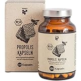 beegut BIO Propolis Kapseln mit BIO Propolis Extrakt in pflanzlicher Kapsel, das Schutzharz der Bienen, nachhaltige Verpackung - 120 Kapseln