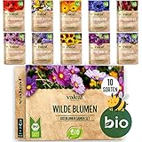 valeaf BIO Wilde Blumen Samen Set I 10 Sorten bienenfreundliche Blumensamen I Premium BIO Samen Blumen I Wildblumen Samen I Blumenmischung Samen I Bienen Weide Wiesenblumen Samen