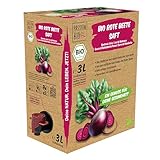 Bio Rote Beete Saft 3 Liter Box - Hochwertiger Bio Rote Bete Saft aus bester deutscher und niederländischer Rote Beete - Vegan, kein erdiger Geschmack