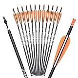 TY Archery 16 Zoll Carbon Armbrustbolzen Jagd Bogenschießen Pfeile mit 4' Flügel ersetzt Pfeilspitze Spitze (12 Stück)