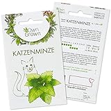 OwnGrown Katzenminze Samen: Premium Katzenminze Saatgut zur Anzucht von ca 1000 Katzenminze Pflanzen – Nepeta Cataria Samen Katzenminze für Topf und Garten – Catnip Pflanze Saat – Katzen Zubehör