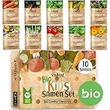 valeaf BIO Gemüse Samen Set für Kinder I Gemüse Anzuchtset m. 10 Sorten Gemüsesamen Pflanzset I Mini Garten Set I Garten Kinder Gemüse Samen als Hochbeet für Kinder I Samen Gemüse Anpflanzset