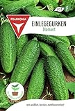 FRANKONIA® Einlegegurke, Diamant F1 - Gemüse-Samen Gurken-Samen Saatgut Samen (Cucumis sativus)