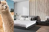 Merino Wool Luxuriöse Alpaka-Wolle Bettdecke Mittleres Gewicht Natürlich All Year/Seasons Hypoallergen Alpaca Duvet (140 x 200 cm)