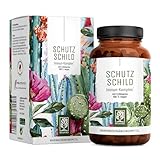 Immunsystem-Komplex - 500mg Echinacea mit Vitamin C Zink Selen L-Histidin & Kalmegh - Immunsystem stärken * vegan & ohne Zusätze - 120 Echinacea Purpurea Kapseln für 60 Tage