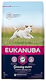 Eukanuba Welpenfutter mit frischem Huhn für kleine Rassen,...