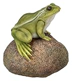 Figuren Shop GmbH Naturgetreue HotAnt Gartenfigur: Frosch auf Stein 11,5 cm - Wetterfeste Gartendeko, Tier