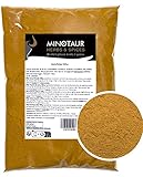 Minotaur Spices | Curry gemahlen, Currypulver mild, 2 x 500g (1 Kg)