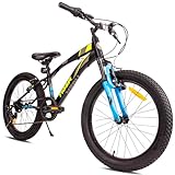 Tiger Bike Jugen Fahrrad 20 Zoll Radgröße zur Auswahl 6 Gang Shimano Kinderfahrrad von 6 bis 10 Jahre verstellbare Höhe 20 Zoll (Schwarz Grün Blau)