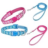 tonyg-p 2 Stück Welpenhalsbänder mit Leine Set, Hundehalsband und Leine Verstellbares Hundehalsband Weich Nylon Haustier Halsband für Welpen Kleine Mittlere Hunde