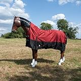 Brama-West Winterdecke Pferd 100g Dakota - Turnout 600D - Weidedecke Gefüttert - Wasserdicht - Highneck - Rot/Schwarz