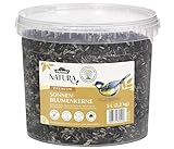 Dehner Natura Premium Wildvogelfutter, Sonnenblumenkerne, Ganzjahresfutter proteinreich / energiereich, hochwertiges Vogelfutter für Wildvögel, 2.2 kg