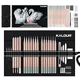 KALOUR 29-teiliges Profi-Skizzierstift-Set mit Rollbarem Nylonetui – 14 Graphitstifte (14B–5H), Kohlestifte, Radiergummis, Spitzer & Estompen – Komplettes Künstler-Set für Anfänger & Profis