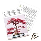 Außergewöhnliche Bonsai Samen mit hoher Keimrate -...