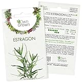 Estragon Samen: Premium Estragon Saatgut zur Anzucht von ca 100 Kräuter Pflanzen – Köstliche Gartenkräuter Pflanzen mehrjährig – Wildkräuter Samen für Garten und Balkon – Kräuter Saatgut von OwnGrown
