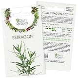 Estragon Samen: Premium Estragon Saatgut zur Anzucht von ca 100 Kräuter Pflanzen – Köstliche Gartenkräuter Pflanzen mehrjährig – Wildkräuter Samen für Garten und Balkon – Kräuter Saatgut von OwnGrown