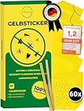 60x Gelbsticker Trauermücken | Testsieger - Sehr Gut | Gelbtafeln inkl. Befestigung | Effektive Klebefalle Gelb als Trauermücken Fruchtfliegen-Falle Fliegenfalle zum Bekämpfen für Zimmerpflanzen