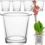 GIESSLE® 6 Stück Orchideentopf [ aus Glas ] Blumentopf Orchideenvase Orchideenglas Übertopf für Orchideen transparent