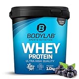 Bodylab24 Whey Protein Pulver, Blaubeere, 1kg