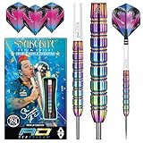 RED DRAGON Peter Wright Snakebite 1-24 Gramm Professional Darts Wolfram Dartset mit Flüge und Shafts