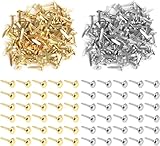 NVTRSD 200 Stück Mini Brads Musterbeutelklammern, Musterklammern, Metall Rundkopfklammern, Briefklammern, Scrapbooking Brads Für Schule Büro Papier Briefklammern Basteln Handwerk DIY (Gold + Silber)