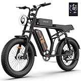 URLIFE 20 * 4' Fat-Tire Elektrofahrräder für Erwachsene, E Bike mit 48V 15.6Ah Batterie, 120 KM Reichweite, Farbenfroh LCD Display, All Terrain Eigenschaft Elektro Mountain (Standard, Schwarz)