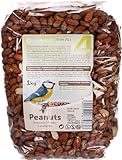 Flamingo Four Seasons geschälte Erdnüsse für Wildvögel 1kg