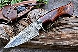 BIGCAT ROAR 25.4 cm Handgefertigtes Damaskus-Jagdmesser mit Lederscheide - Ideal zum Häuten, Camping, Outdoor - EDC Fixed Blade Bushcraft Messer mit Walnussholzgriff - Predator Hunter