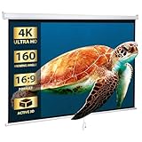 SUPER DEAL 203 cm (80 Zoll) 16:9 HD Projektionsleinwand Faltbarer Anti-Falten Tragbarer Projektor Filmleinwand Handbuch Pull Down für Heimkino Präsentation Bildung Outdoor Indoor Public Display