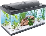 Tetra Starter Line 54 L Aquarium Komplett-Set - inkl. Tag- &...