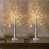 EAMBRITE 2er Set Lichterbaum Lichterzweige für Innen 24...