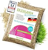 halmland® Rasensamen Grassamen Rasen Schattenrasen Samen schnellkeimend 2,5kg für 100m² | Premiumrasen für Schattenbereiche | trockenresistent | made in Germany