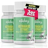 Vitabay Astragalus Extrakt | 270 vegane Kapseln | Hochdosiert mit 1600 mg hochwertigem Extrakt pro Kapsel | 10% Polysaccharide | Laborgeprüft & hergestellt aus hochwertigen Rohstoffen