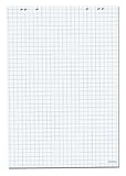 Herlitz 10834141 Flipchartblock, 68x99cm (kariert/gelocht), 5 Blöcke (20 Blatt je Block)