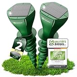 HEIMWERT Maulwurf Vertreiber Wühlmausschreck - SCHNELLE Ergebnisse mit KI Wechselfrequenz Automatik - Solar Abwehr wasserdicht und flüsterleise - auch gegen Wühlmäuse (2er Pack)