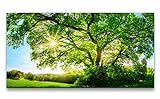 Leinwandbild 120x60cm Großer Baum Eiche Baumkrone Grün Natur Sonnenstrahlen