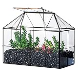 NCYP 25x13.5x20 cm Handmade Pflanzencontainer,Glas Geometrisch Pflanzen Terrarium, Schwarzes Gitter Haus-Form Gewächshaus Blumentopf, modernes Tischaufsatz (ohne Pflanzen)