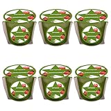 pajoma® Mini Duftkerze 6er-Set, Adventszauber - Weihnachten...